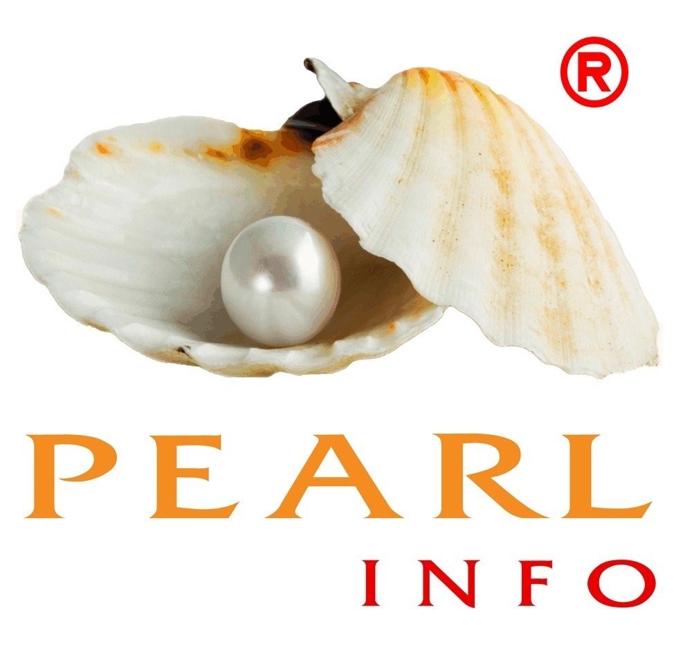 Pearlinfo — BeSpoke Software Development & Digital Transformation