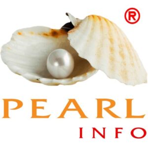 PEARLINFO PVT LTD